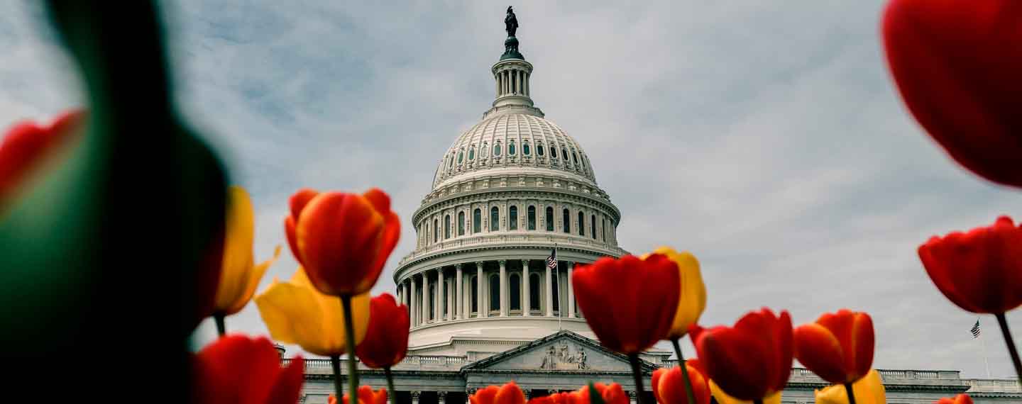 Capitolio de los EEUU
