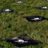 Prueba de la OTAN de tecnología contra los drones durante el ejercicio de interoperabilidad técnica en Vredepeel, Países Bajos (2021)