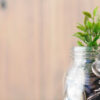 A jar with coins and plants. Representation of the green economy