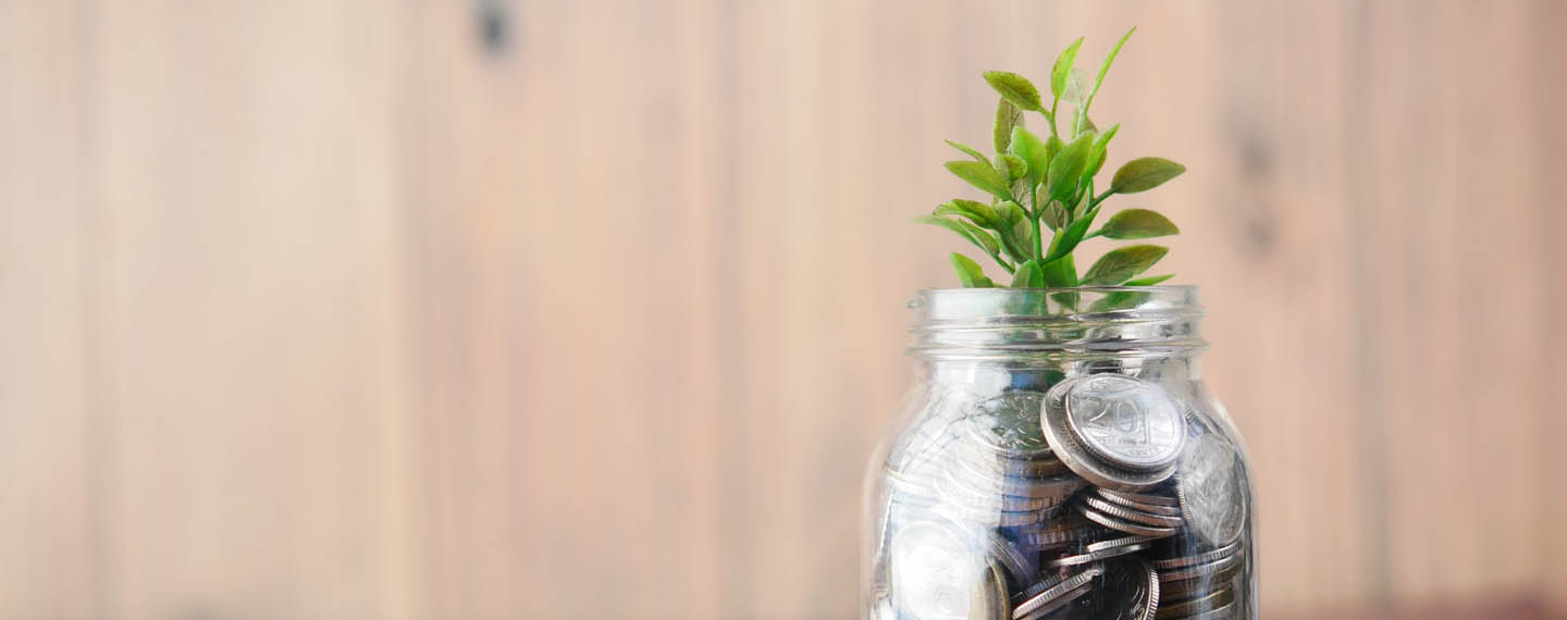 A jar with coins and plants. Representation of the green economy